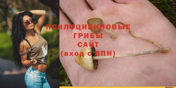 твердый Лабытнанги