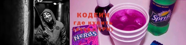 хмурый Лиски