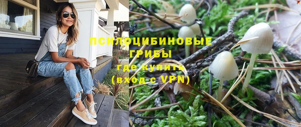 ешки Ладушкин