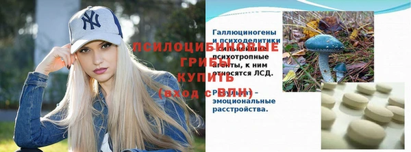 твердый Лабытнанги