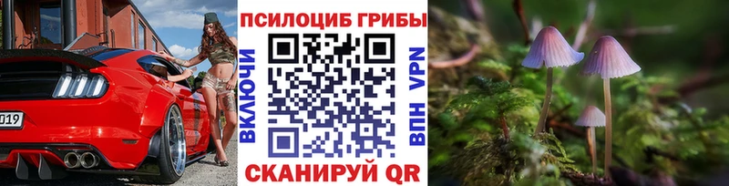 Псилоцибиновые грибы Psilocybine cubensis  Хасавюрт 